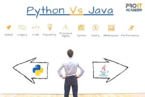 python vs java