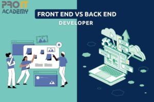 Front-end vs Back-end Developer